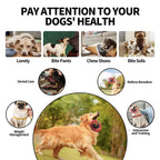 Extreme Tough Dog Chew Toys for Aggressive Chewers, Extra Durable Dog Squeaky Toys for Medium Breed, Indestructible Nylon Dog Toys for Large Dogs, Keep Dogs Busy