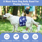 Reusable Dog Diapers Male 3Pcs, Premium Washable Belly Bands for Male Dogs Xlarge, High Absorbing Male Dog Wraps for Doggie Puppy Excitable Urination and Training(Sailboat, XL)